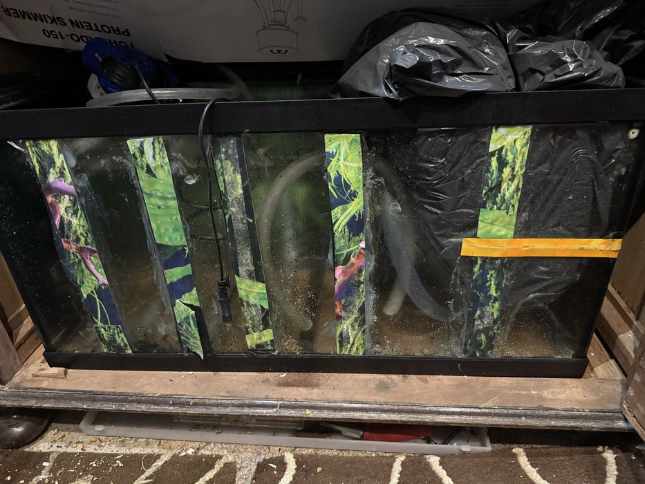 Aquario para peixes marinhos