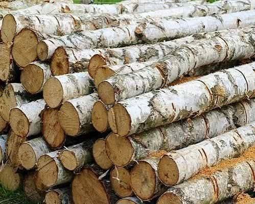 Дрова по безготівковому, готівковому рахунку для підприємств та домого