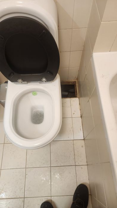 Desentupimento de esgotos (low cost)