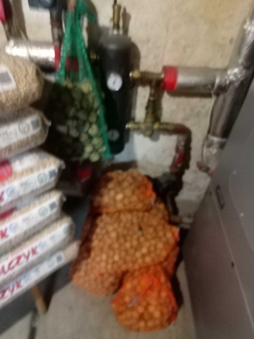 Sprzedam - Orzechy Włoskie.