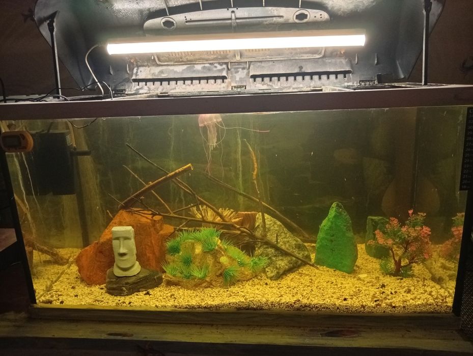 Акваріум 100 л.повний комплект
