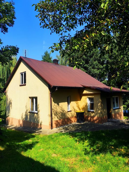 Dom, siedlisko z dużą działką – 2 budynki mieszkalne, Czaple Wielkie