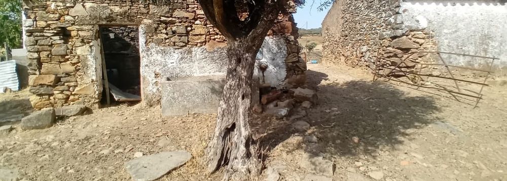 Monte alentejano 7500m2