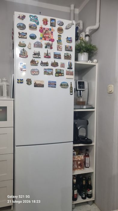 oddam lodówkę Bosch