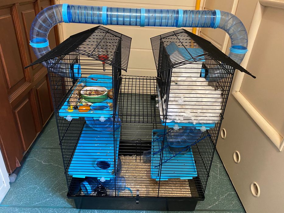 Bardzo duża klatka dla chomika