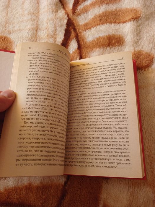 Книга Современный Фэн-Шуй