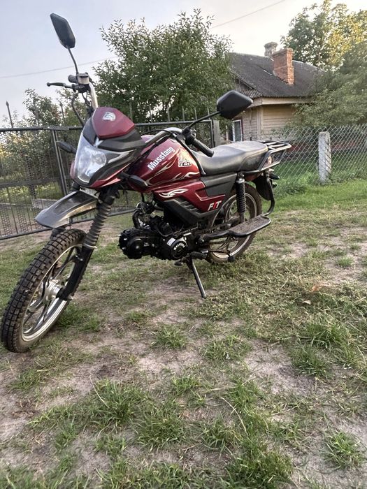 Mysstang 125 fit 2