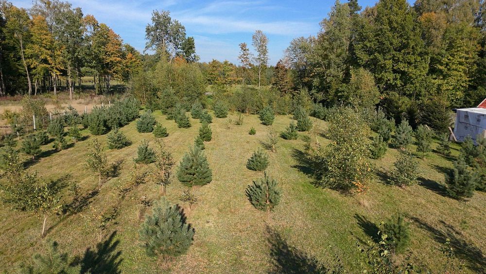 Działka budowlana Ostrowin