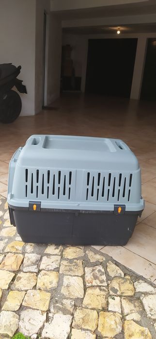 Caixa para transporte  animal de médio porte