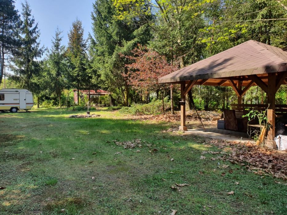 Działka 25ar, Dąbrówka, gm. Kamionka