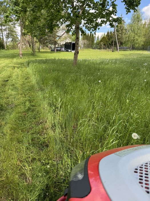 Koszenie działek i ogrodów Biskupiec i okolice – szybko i solidnie.