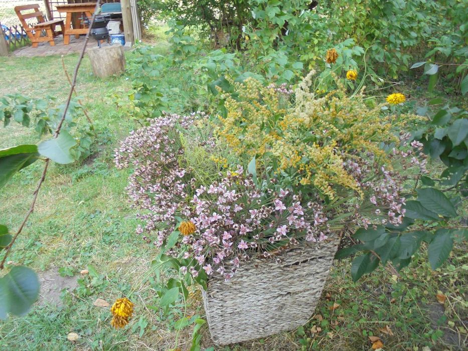 Nocleg dla pracownika, kwatery pracownicze