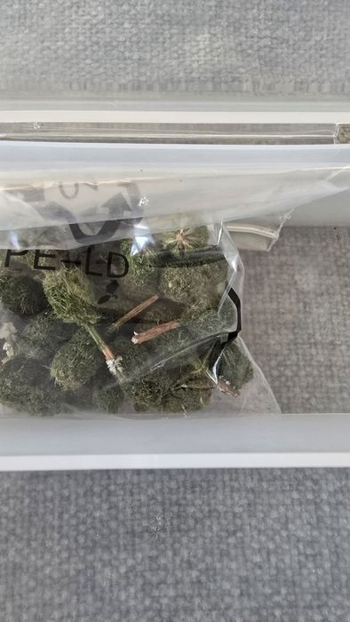 Bonecos modelismo maquetas