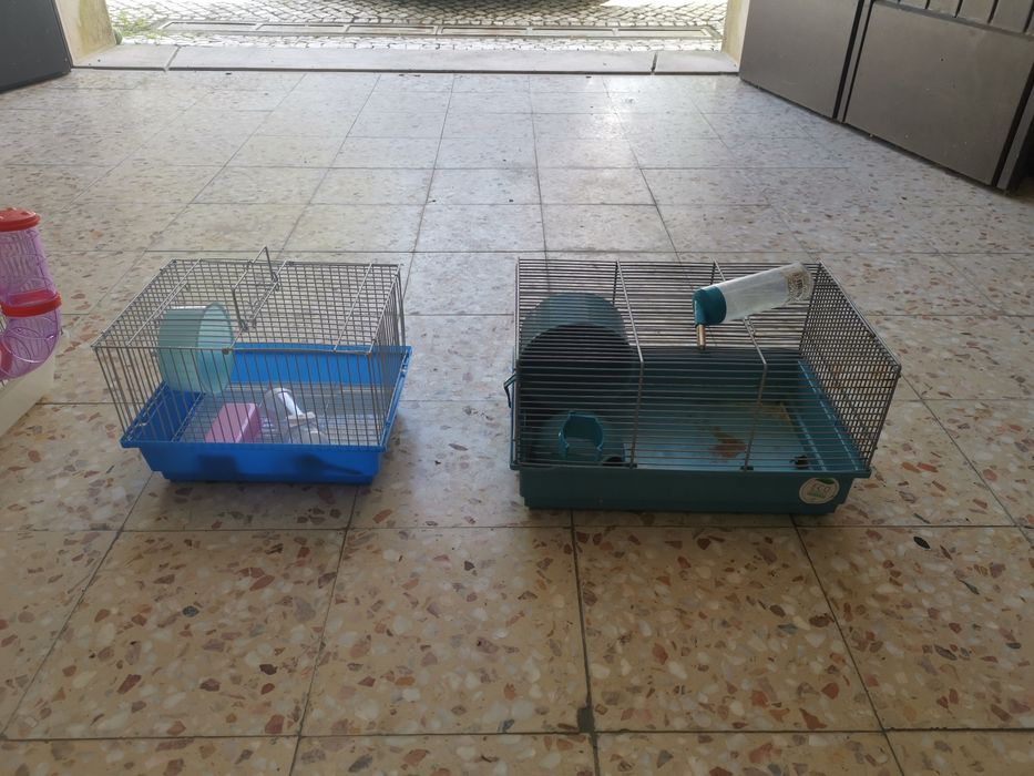 Gaiolas Hamster em bom estado