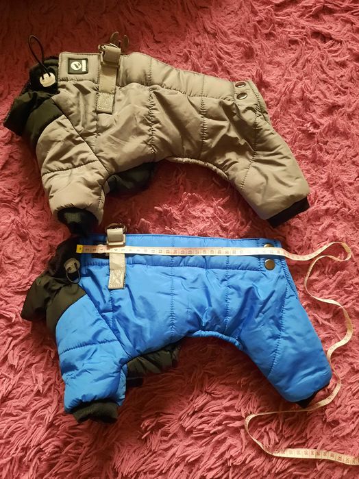 Одежда для собак