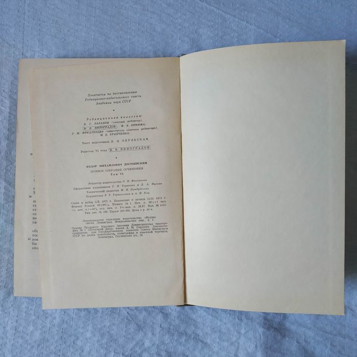 Ф.М. Достоевский. 6-й том полного собрания сочинений.