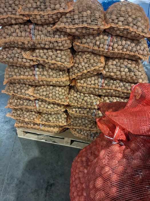 Orzechy włoskie całe