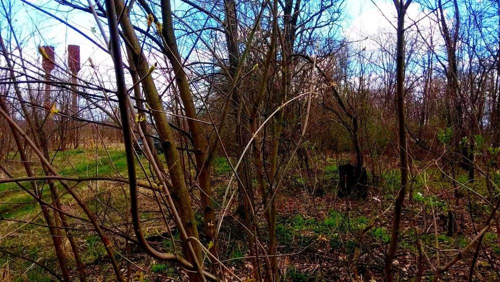 TO Земельна ділянка під будівництво у передмісті Чернігова