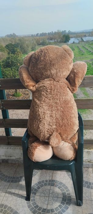 Uma autêntica fofura