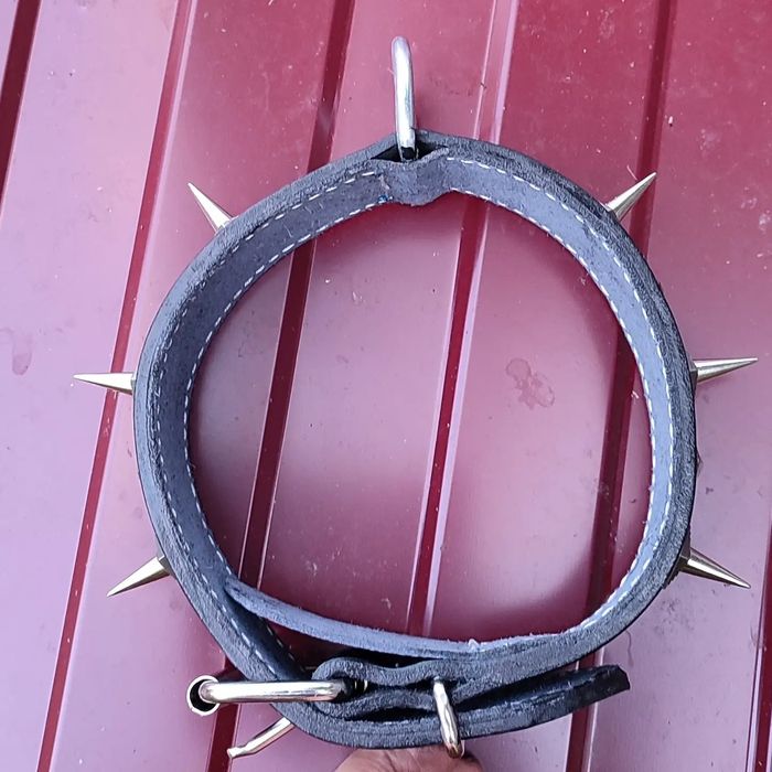 Ошейник доберман бультерьер кане-корсо ротвейлер амстаф булли бурбуль