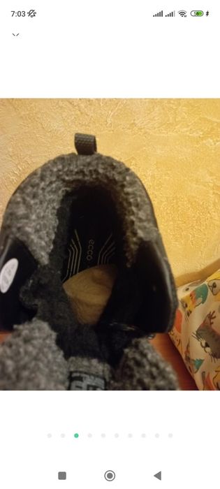 Ботинки сапоги ECCO Gore-tex