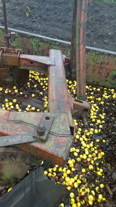 Продам 4-х корпусний плуг