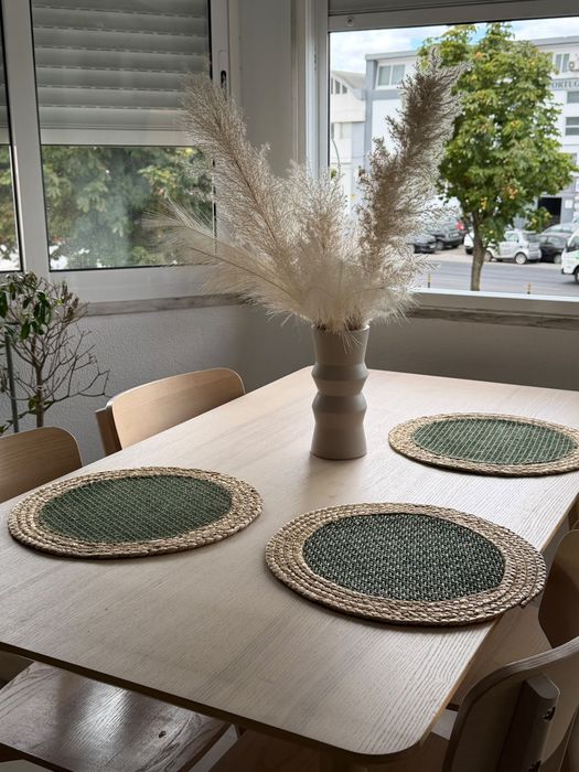 MESA + CADEIRAS 10 meses de uso
