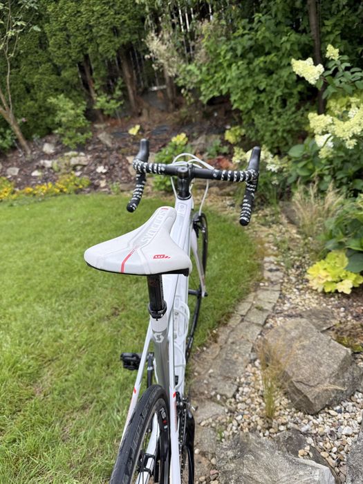 SCOTT Solace Rozmiar S Damski Carbon