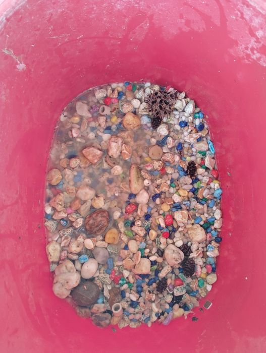 Material de aquarofilia