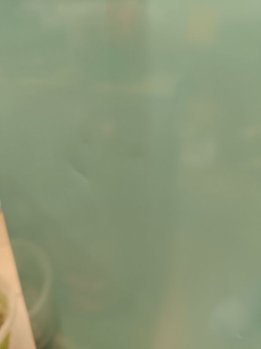 Lodówka seledynowa retro Amica