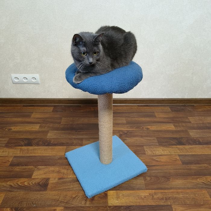 Продам когтеточку