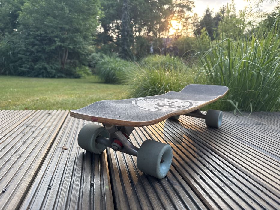 Fish skateboards cruiser