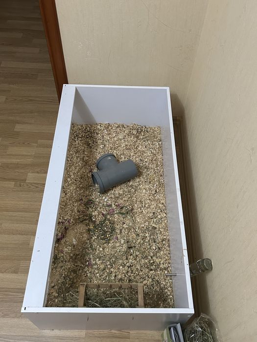 вольєр для морських свинок