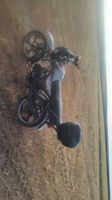Mustang Dingo125
