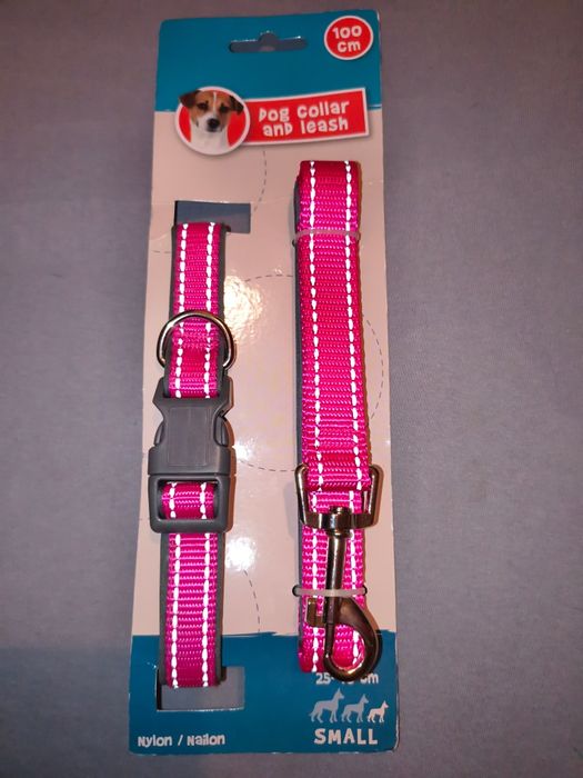 Zestaw smycz i obroża