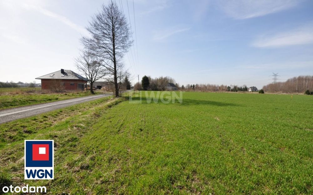 Działka, Dobryszyce