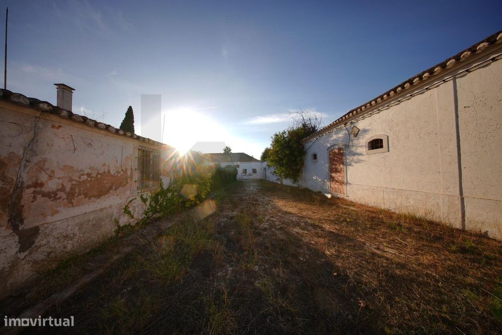 Oportunidade Única: Quinta Centenária para Recuperar em Localização Pr