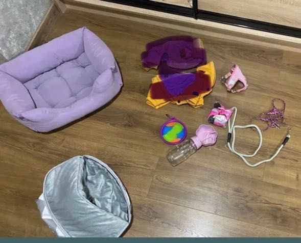 Речі для собаки комбінезон дощовик взуття