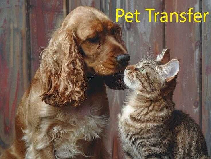 перевезення тварин. Чернівці. по Україні.