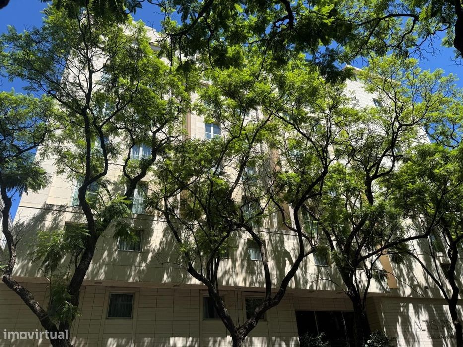 T1 no Altis Prime, junto à Avenida da Liberdade