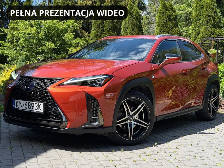 Lexus UX 184KM AWD F-Sport Perła Bezwypadkowy Serwis ASO Wentylowane Fotele