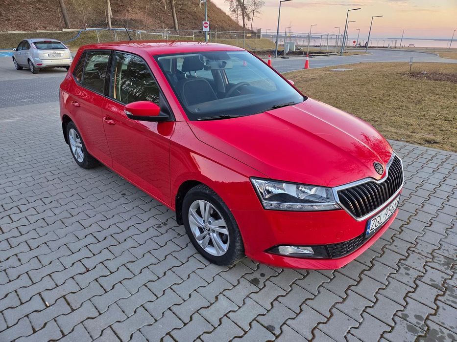 Skoda Fabia Fabia 2019, przebieg 65000km