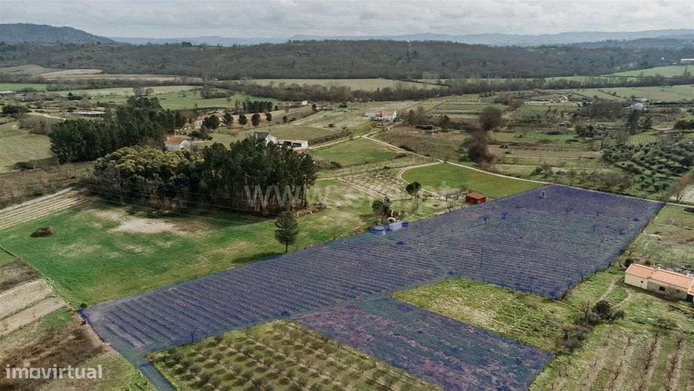 Terreno Rústico / Covilhã, Orjais