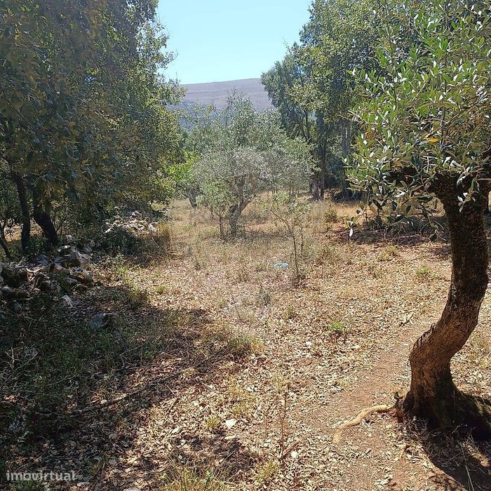 Terreno  para venda