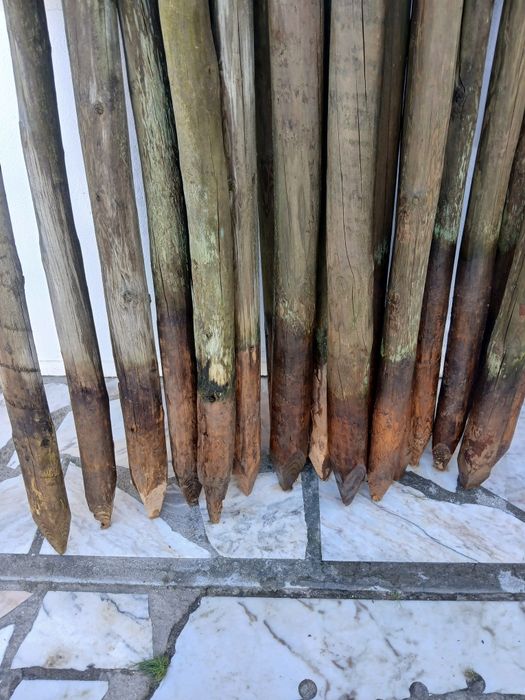 10 Paus tratados como novos.