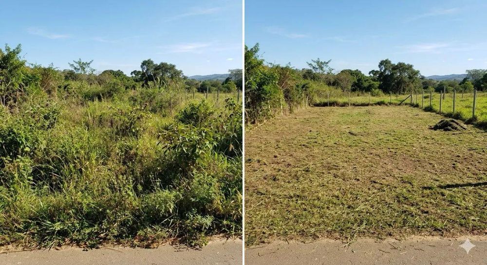 Limpeza terreno