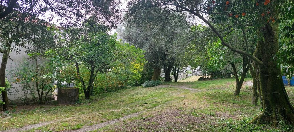 Quintinha Centenária em Pedra com 2.000 m² – Fonte Arcada, Póvoa de Lanhoso