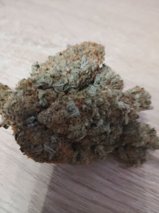 NORTHERN LIGHTS CBD 27% CBG 12,10% THC <0,3% 10g