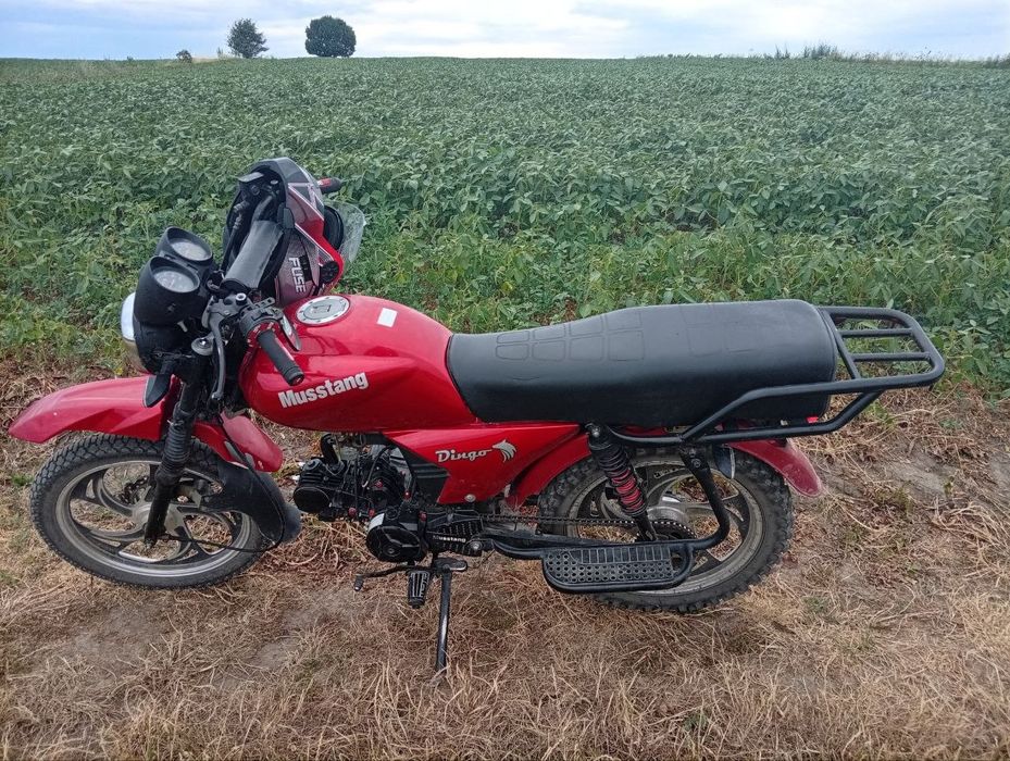 Mustang Dingo MT-125