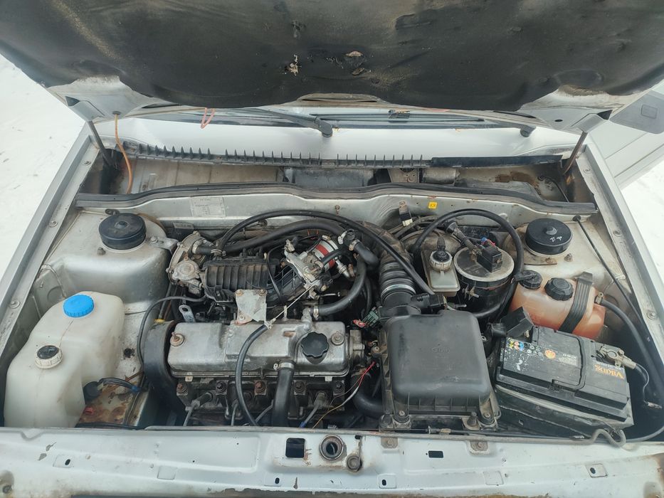 Продам домашню петнаху на газу